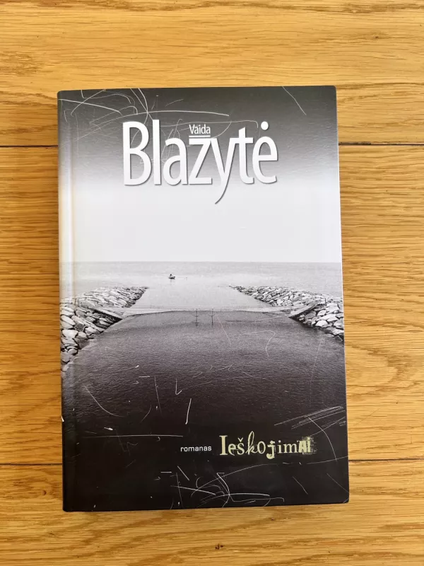 Ieškojimai - Vaida Blažytė, knyga 2