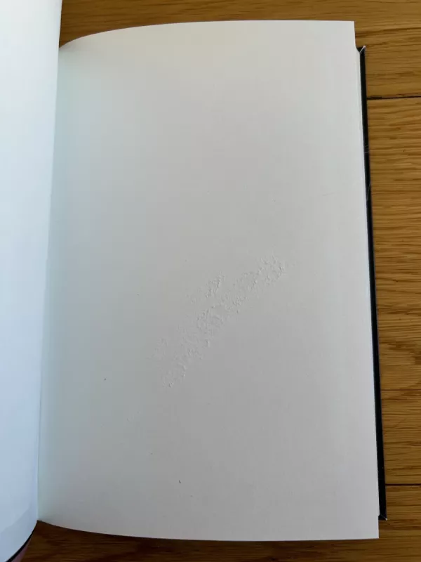 Ieškojimai - Vaida Blažytė, knyga 5