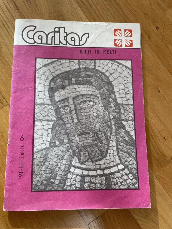 Caritas. Kilti ir kelti 1991 birželis - Autorių kolektyvas, knyga 2