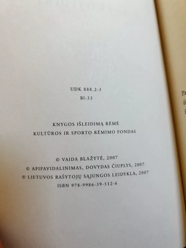 Ieškojimai - Vaida Blažytė, knyga 4