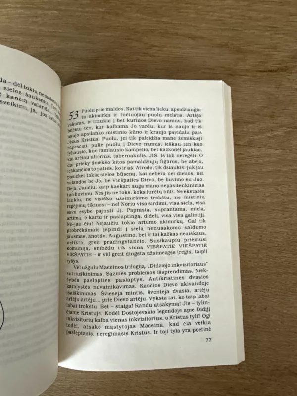 Tėvo Severino pamokos - Rita Vinciūnienė, knyga 5