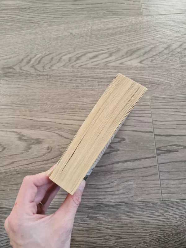 Baltoji Karalienė - Philippa Gregory, knyga 3