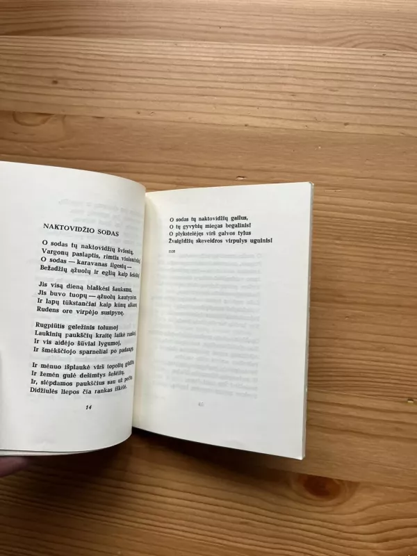 Poezija - N. Zabolockis, knyga 4