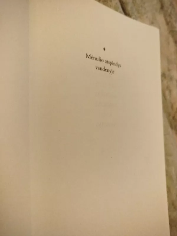 Mėnulio atspindys vandenyje - Xiaolan Zhao, knyga 3