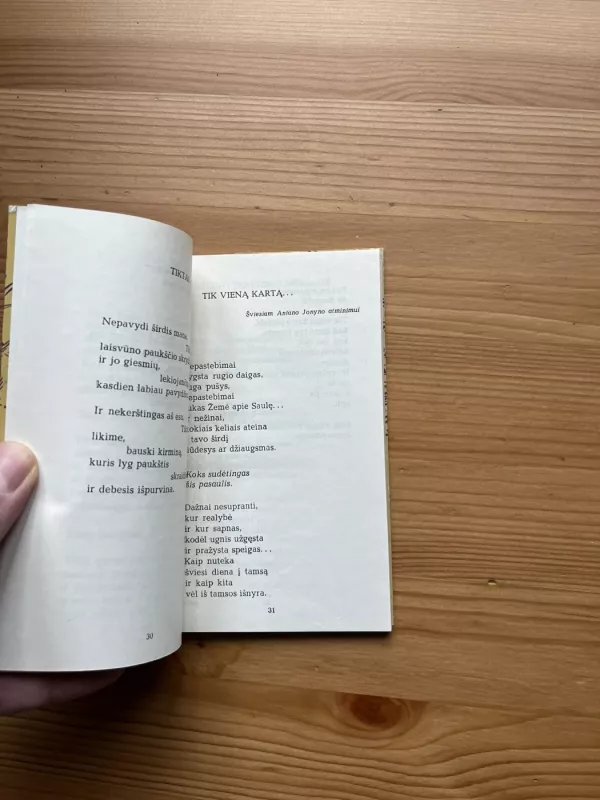 Gimtinė - Pranas Raščius, knyga 4