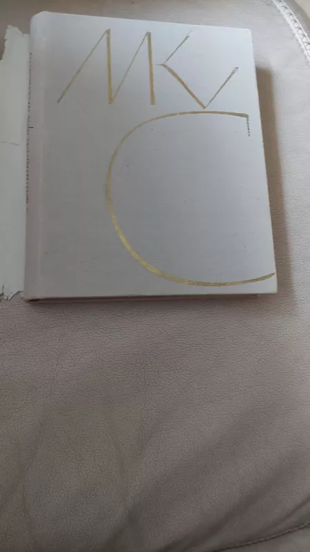 Atsiminimai apie M.K.Čiurlionį - Jadvyga Čiurlionytė, knyga 2