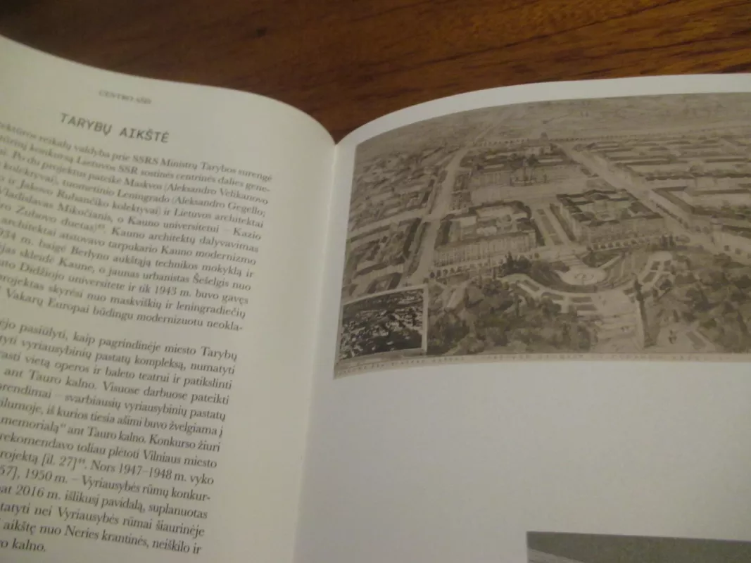 Neįgyvendintas Vilnius - Marija Dremaite, knyga 6