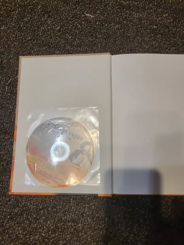 Pašėlęs vėjas: Grokite su Andriumi Kulikausku - Andrius Kulikauskas, knyga 4