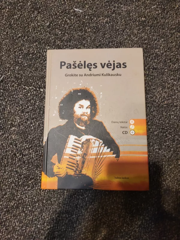 Pašėlęs vėjas: Grokite su Andriumi Kulikausku - Andrius Kulikauskas, knyga 2