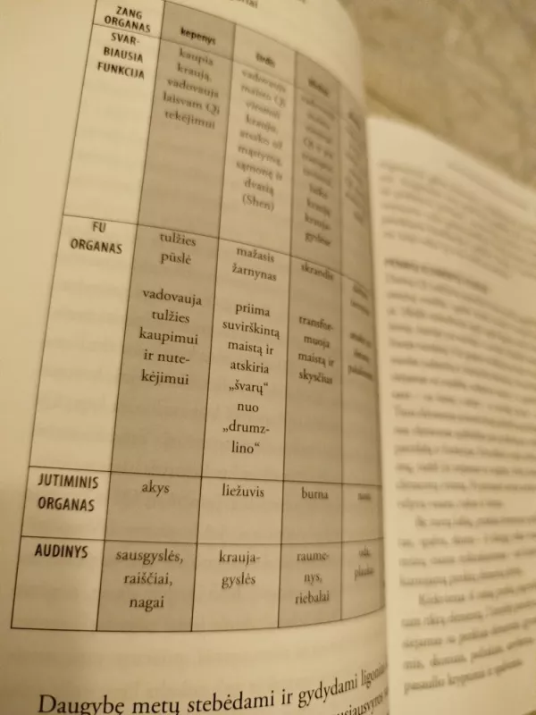 Mėnulio atspindys vandenyje - Xiaolan Zhao, knyga 4