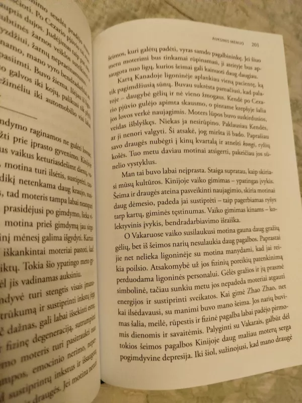 Mėnulio atspindys vandenyje - Xiaolan Zhao, knyga 5