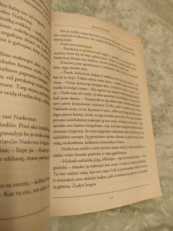 Tibeto šamanas. Milarepos istorija – nuo pykčio iki nušvitimo - Heather Hughes-Calero, knyga 4