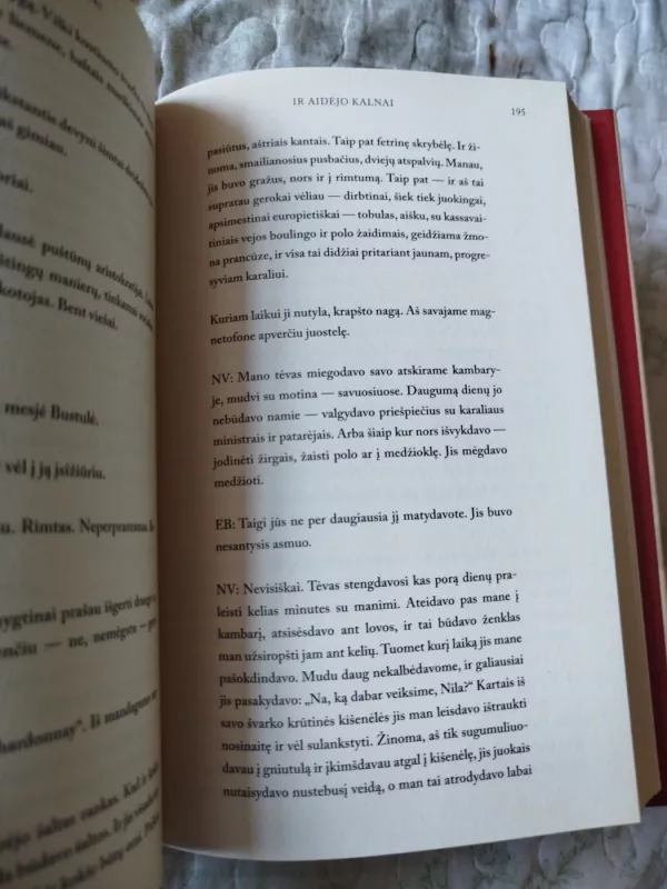 Ir atidėjo kalnai - Khaled Hosseini, knyga 4