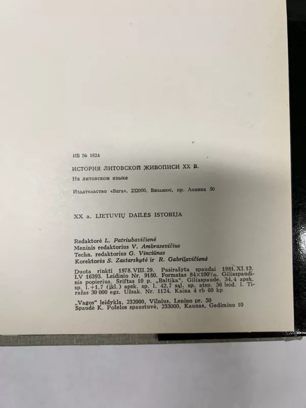 XX a. lietuvių dailės istorija I tomas - Autorių Kolektyvas, knyga 4