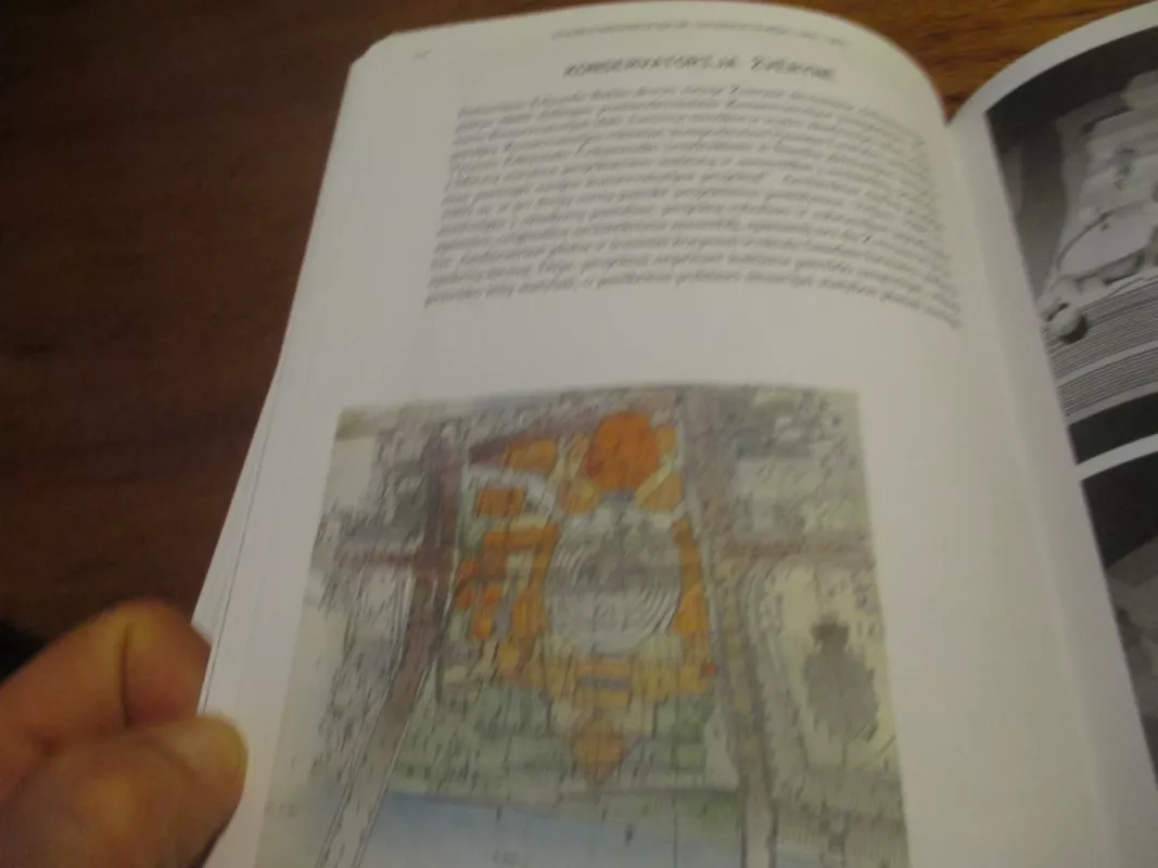 Neįgyvendintas Vilnius - Marija Dremaite, knyga 5