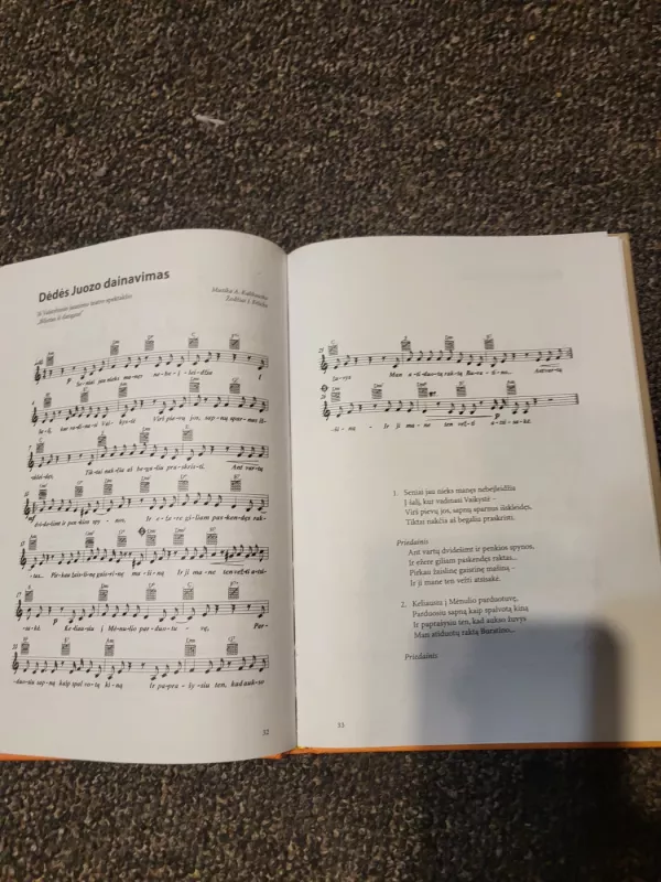 Pašėlęs vėjas: Grokite su Andriumi Kulikausku - Andrius Kulikauskas, knyga 5