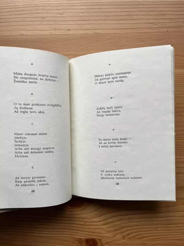 Tu ir dangus - Vilija Šulcaitė, knyga 4