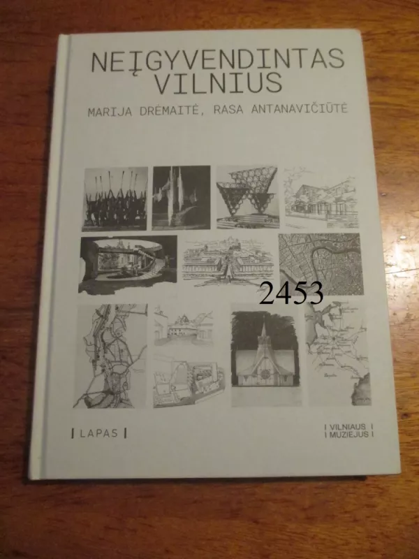 Neįgyvendintas Vilnius - Marija Dremaite, knyga 2