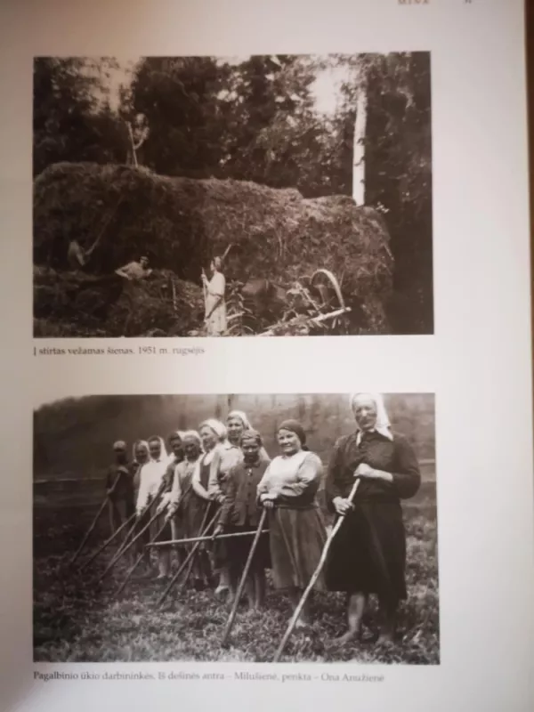 Tremtis prie Manos upės - Autorių Kolektyvas, knyga 6