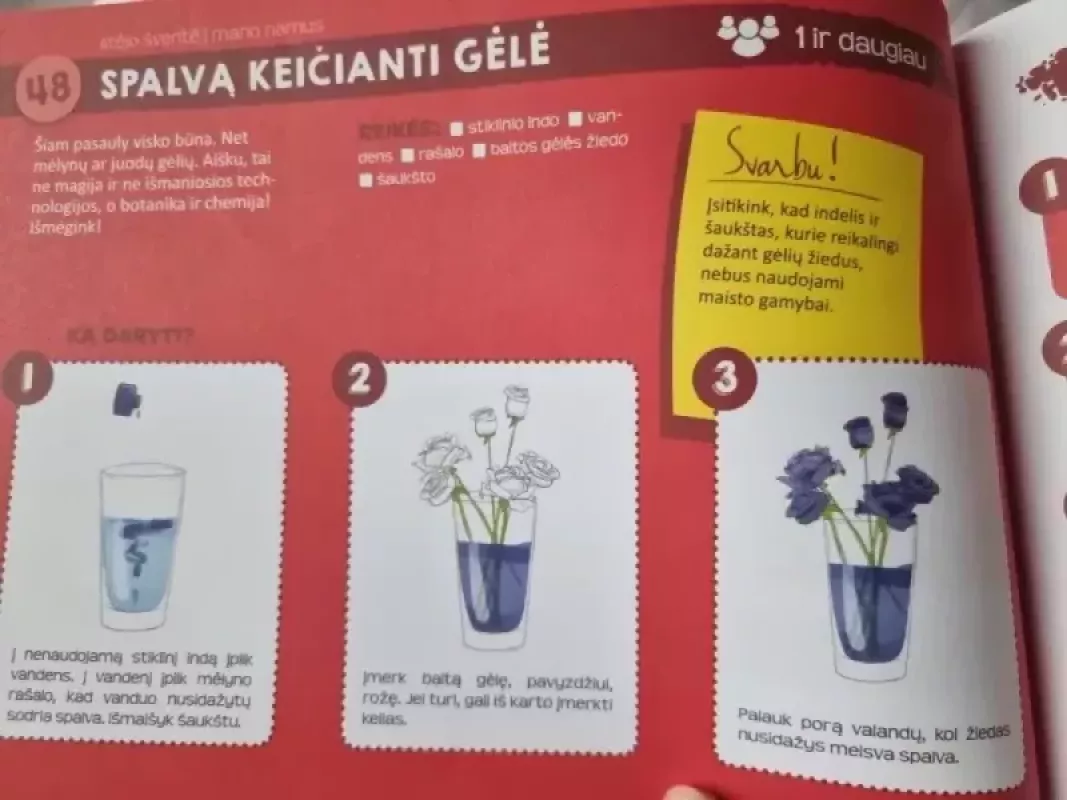 101 būdas, ką veikti, kai neturi ką veikti - Autorių Kolektyvas, knyga 3