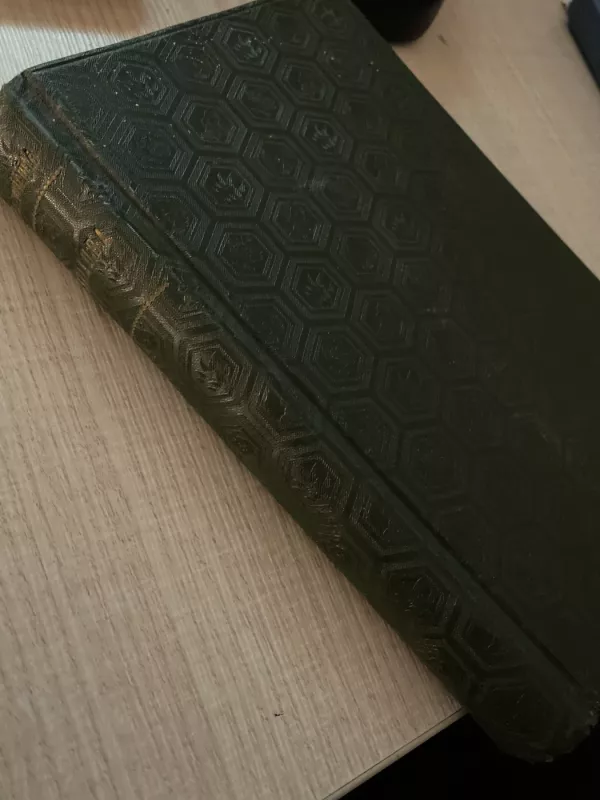 Skriauda - M. Rodzevičiūtė, knyga 4