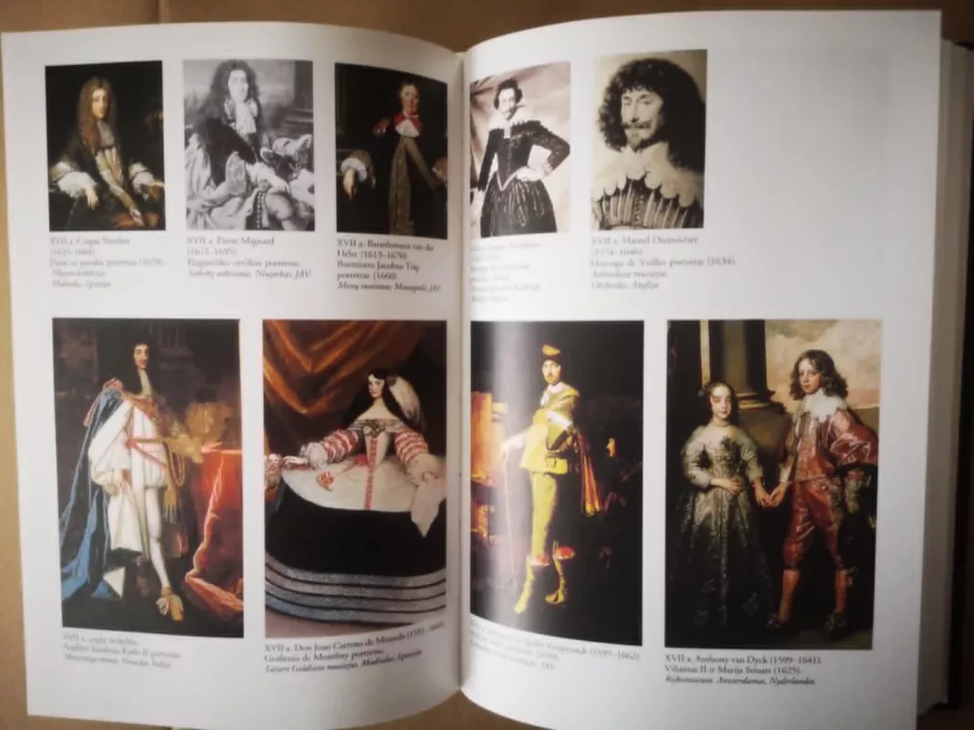 Europos kostiumo tūkstantmetis(X-XX a.) - Rūta Guzevičiūtė, knyga 3