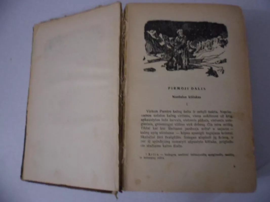 Deimantų grobikai - Louis-Henri Busenaras, knyga 5