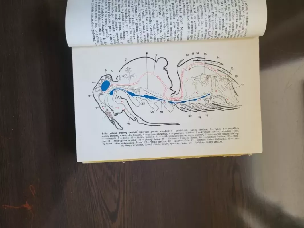 Bitininkystė - J. Kriščiūnas, knyga 5