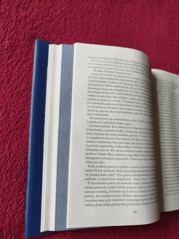 Kelionė namo. Amerikiečio jogo autobiografija - Radhanatha Svamis, knyga 4