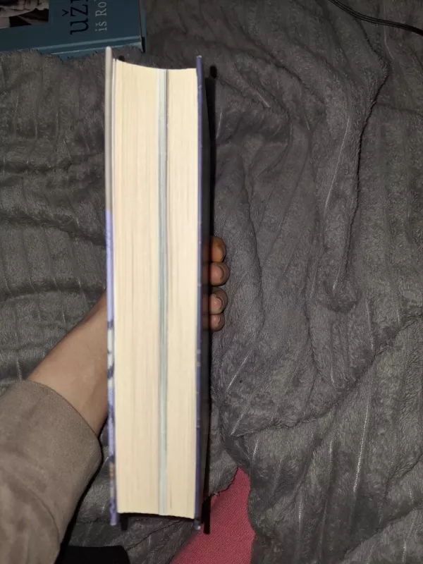 Misionierius - Aurelija Savickienė, knyga 4