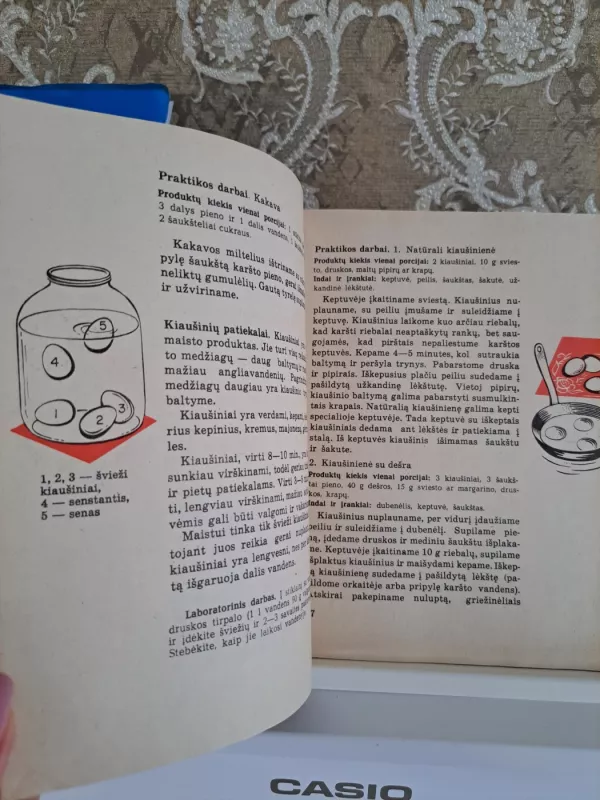 Buities darbai 4 klasei - Autorių Kolektyvas, knyga 4