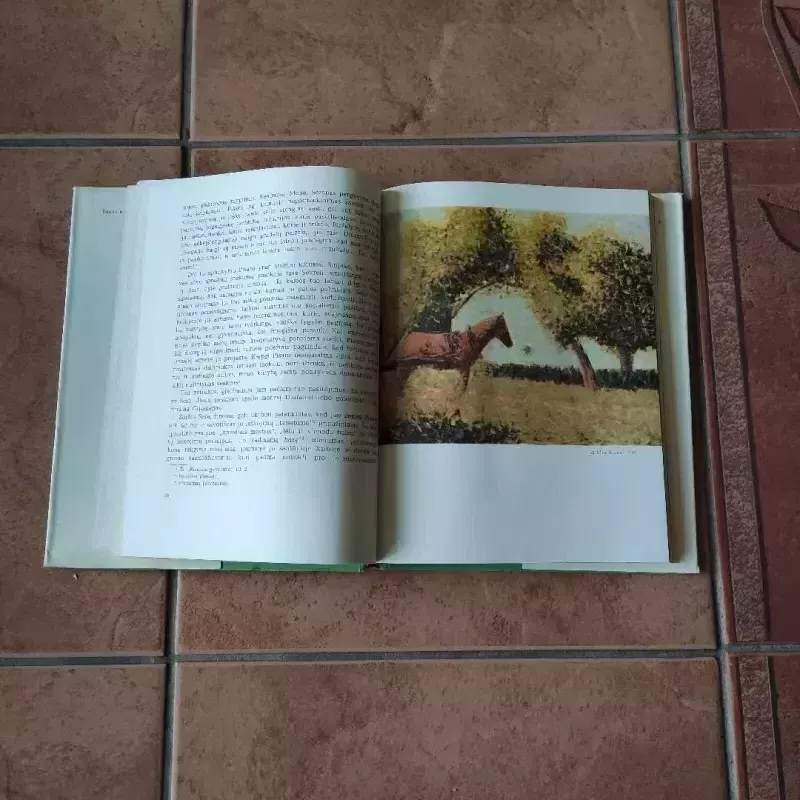 Sera gyvenimas - Anri Periušo, knyga 4