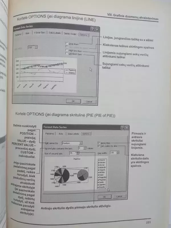 Microsoft Excel XP - Birutė Leonavičienė, knyga 4
