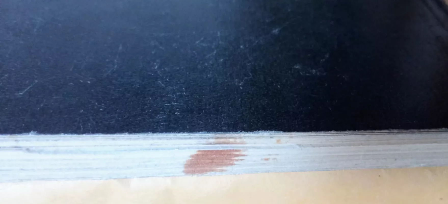 ANYKŠČIAI - H. GAPŠIENĖ, knyga 3