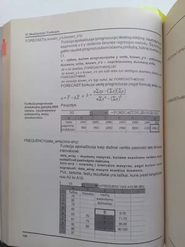 Microsoft Excel XP - Birutė Leonavičienė, knyga 6