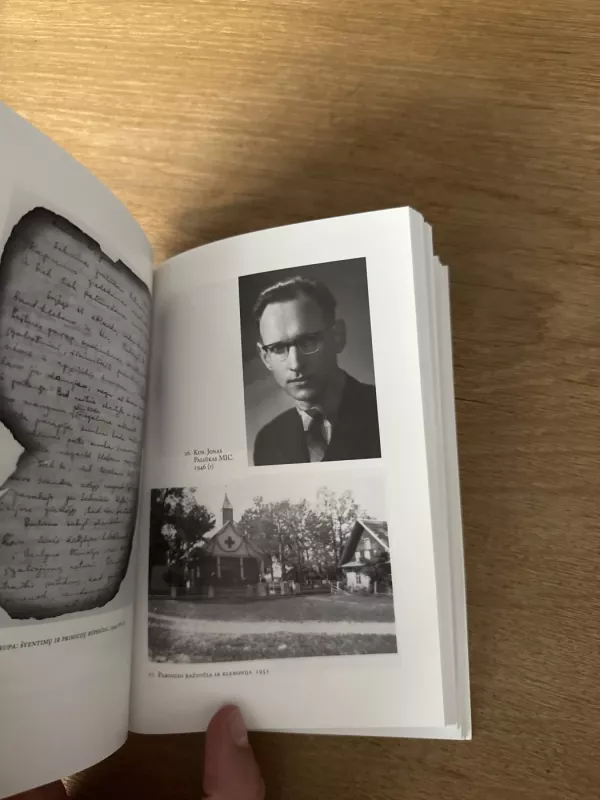 Vieno žąsiaganio istorija - Vaclovas Aliulis, knyga 6