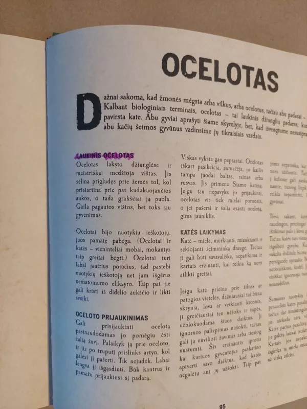 Minecraft Mobestiariumas - Mojang Synergies, knyga 4