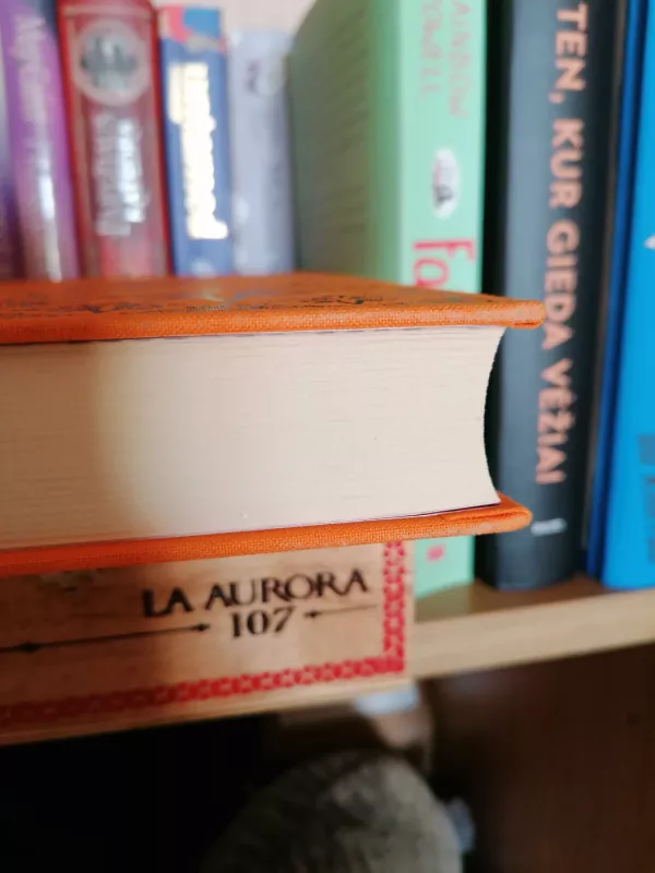 Puikybė ir prietarai (Pegaso kolekcijos 2 knyga) - Jane Austen, knyga 5