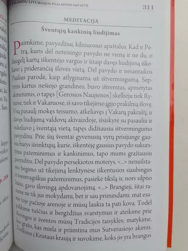 Magnificat. Kasdieniai skaitymai. 2016 lapkritis - Autorių Kolektyvas, knyga 6