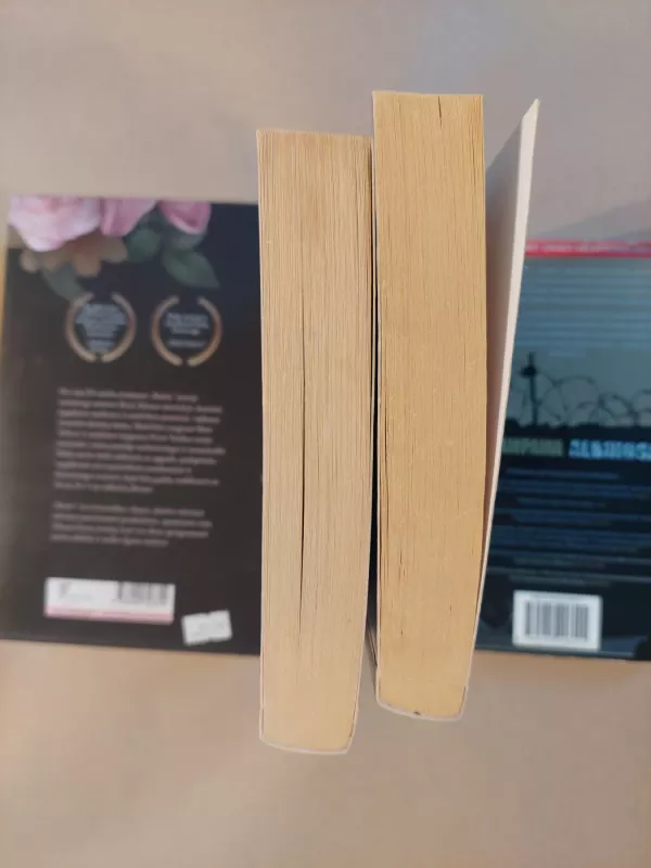 Talismanas (18, 19) - Stephen King, knyga 4