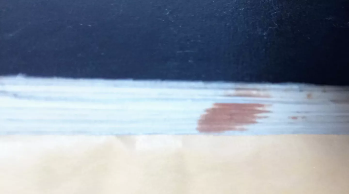 ANYKŠČIAI - H. GAPŠIENĖ, knyga 4