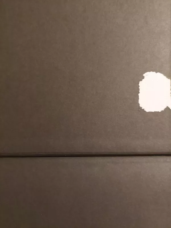 Minecraft Mobestiariumas - Mojang Synergies, knyga 5