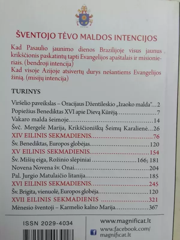 Magnificat. Kasdieniai skaitymai. 2013 Liepa - Autorių Kolektyvas, knyga 3