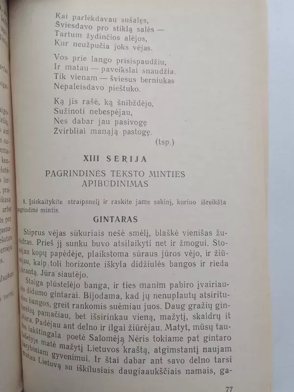 Lietuvių kalbos ugdymo pratimai IV klasei - Adomas Šoblinskas, knyga 6