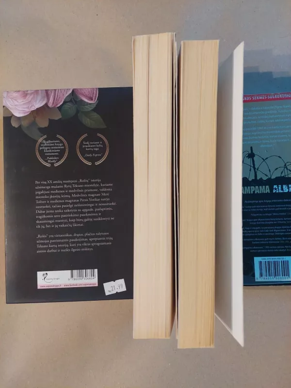 Talismanas (18, 19) - Stephen King, knyga 3