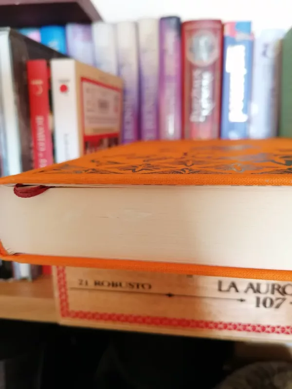 Puikybė ir prietarai (Pegaso kolekcijos 2 knyga) - Jane Austen, knyga 4