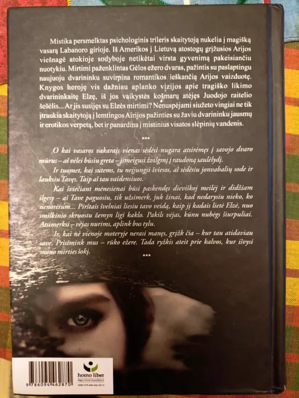 Ribinis laikas - Karolina Ringys, knyga 3