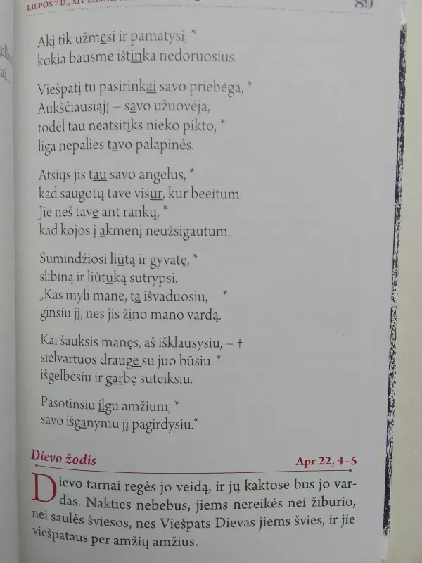 Magnificat. Kasdieniai skaitymai. 2013 Liepa - Autorių Kolektyvas, knyga 5