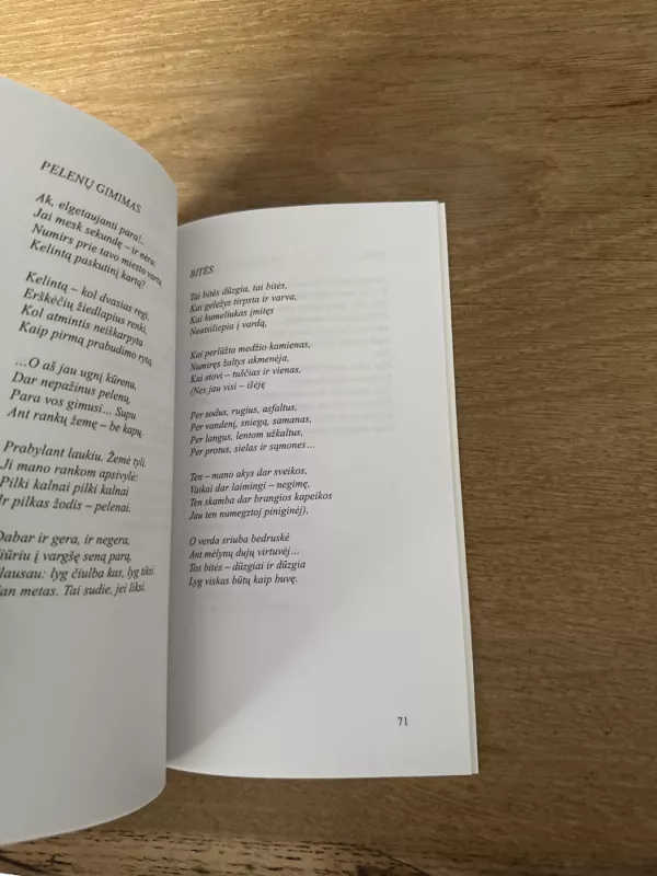 Tiek turi - Ramutė Skučaitė, knyga 5