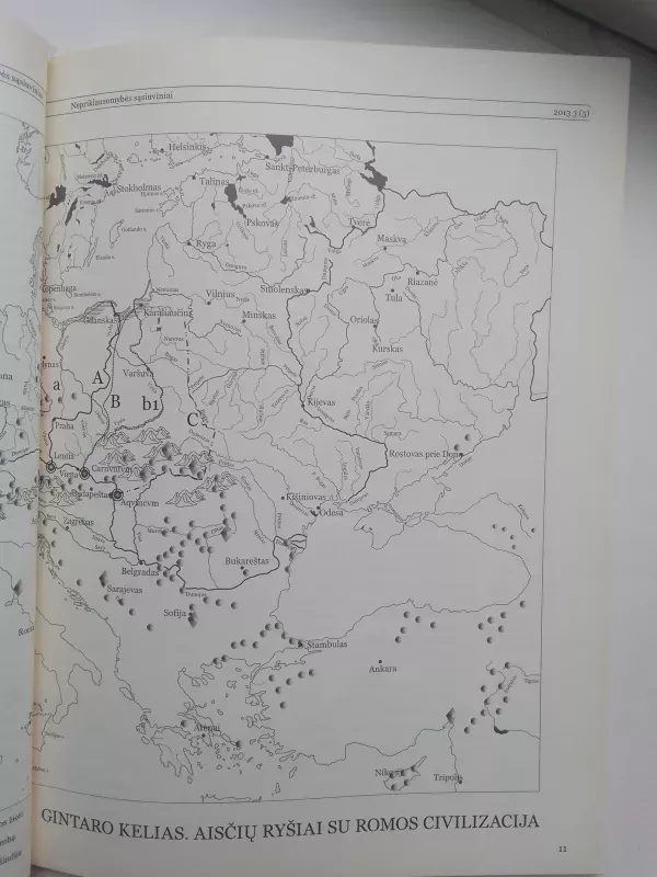 Nepriklausomybės sąsiuviniai, 2013., Nr 3 - Autorių Kolektyvas, knyga 5